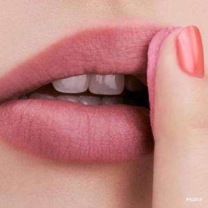 Bobbi Brown Pot Rouge Velvet Matte